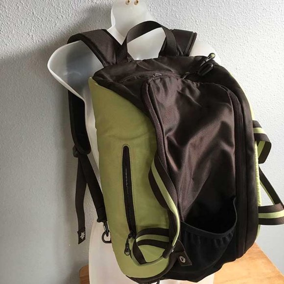 sherpani convertible backpack